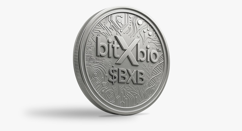 bxb token